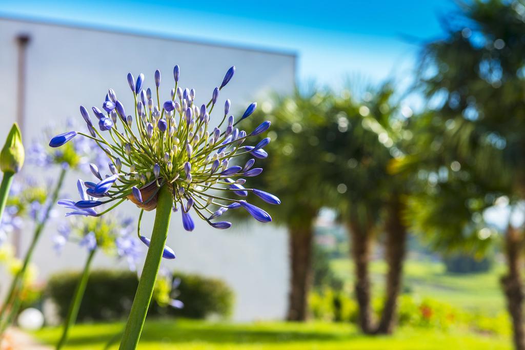 Hotel Quinta De San Amaro Rias Baixas Meaño Esterno foto